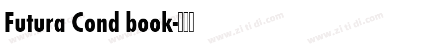 Futura Cond book字体转换